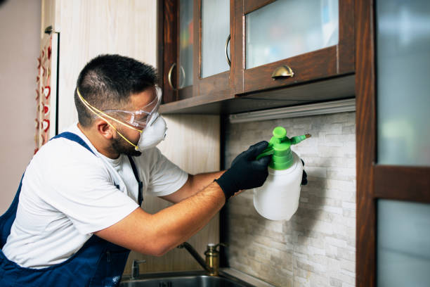 Trusted Delta, UT Pest Control Experts